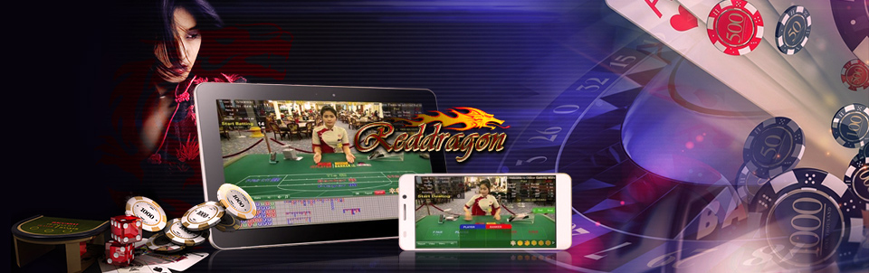 reddragon88 casino คาสิโนออนไลน์